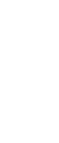 新味カレー