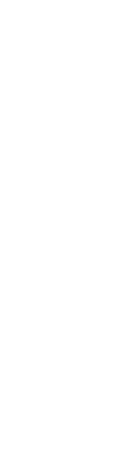 素材や盛り付けで味わいも変化！