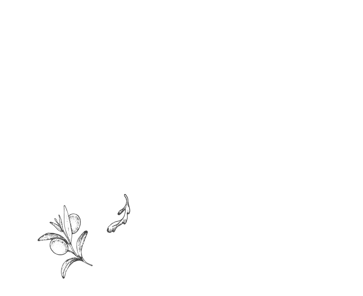 新味カレー