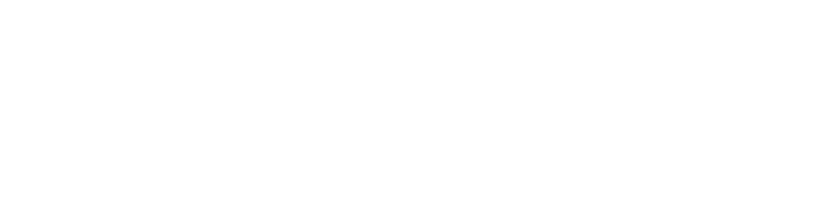 素材や盛り付けで味わいも変化！