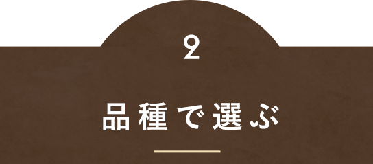 部位で選ぶ